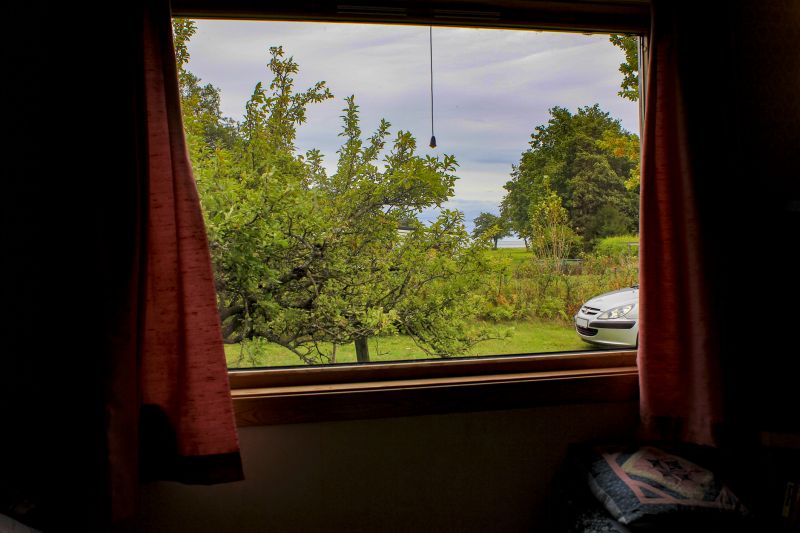 Best Window Replacement Contractors IN Zionsville, IN